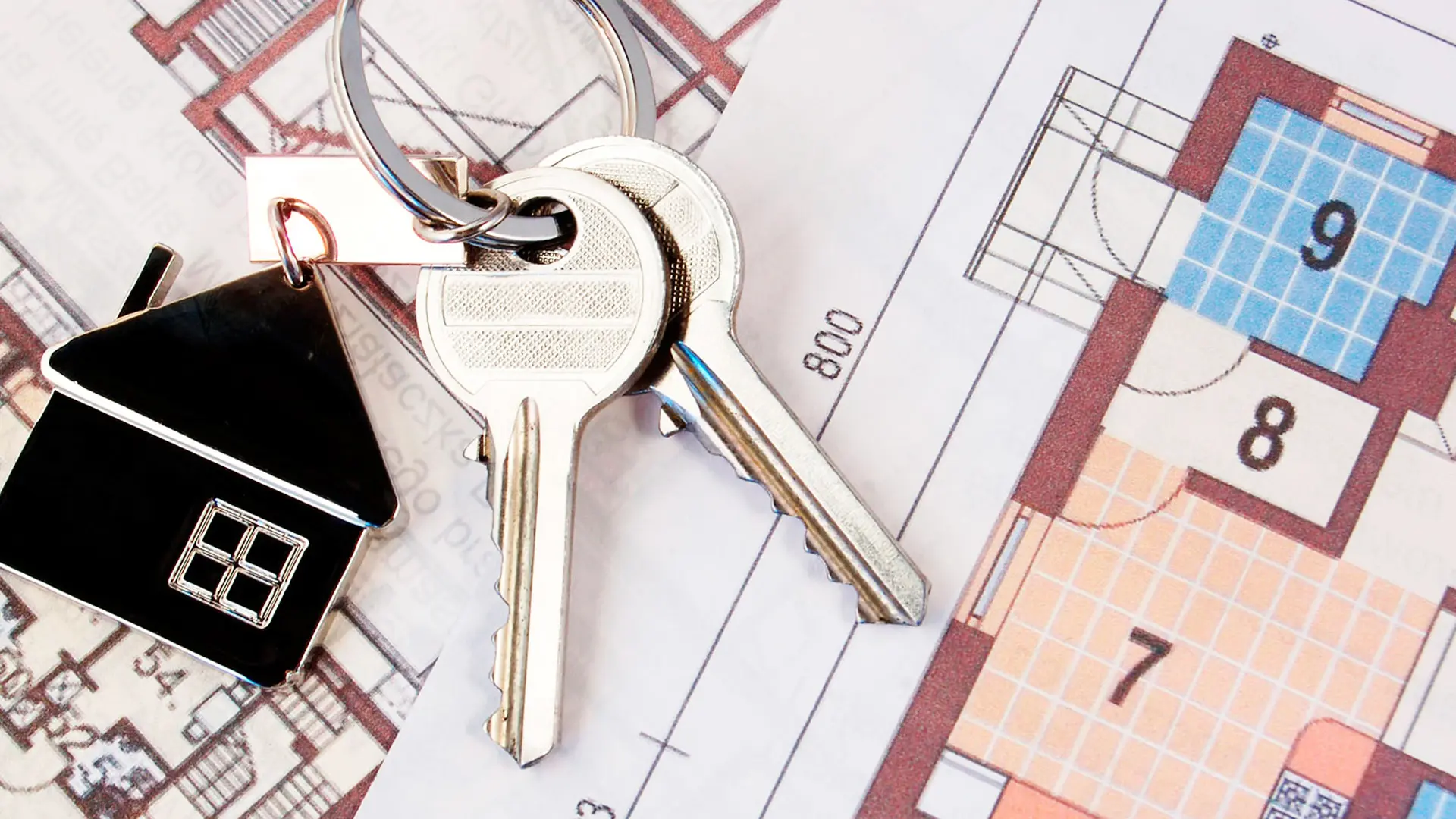 Определение порядка пользования помещением ЮК "Сфера Интересов Плюс"