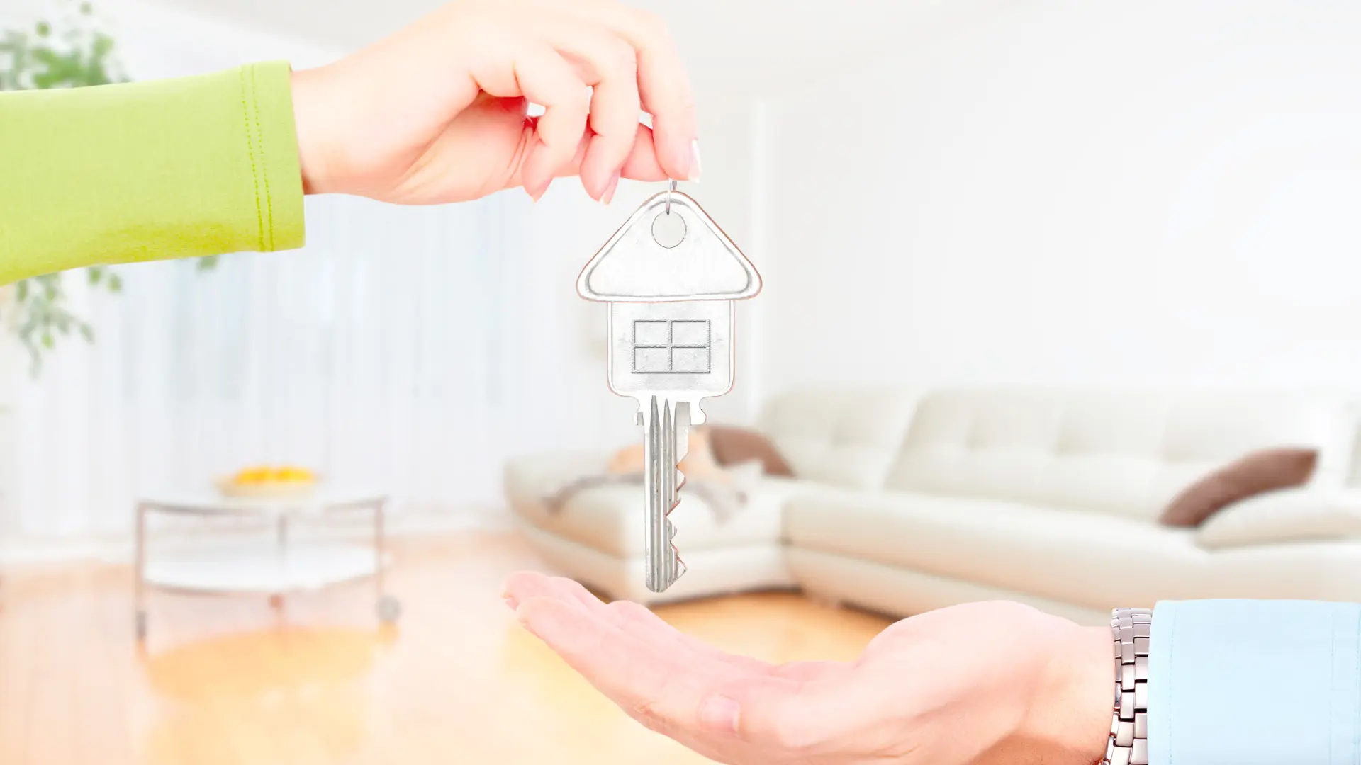 Снимаете квартиру? 7 подводных камней договора аренды, которые могут стоить вам денег и нервов